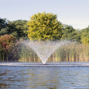 Kasco VFX Series Aerating Fountain - Image 7