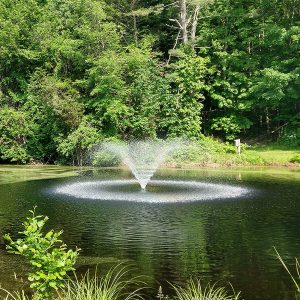 Kasco VFX Series Aerating Fountain