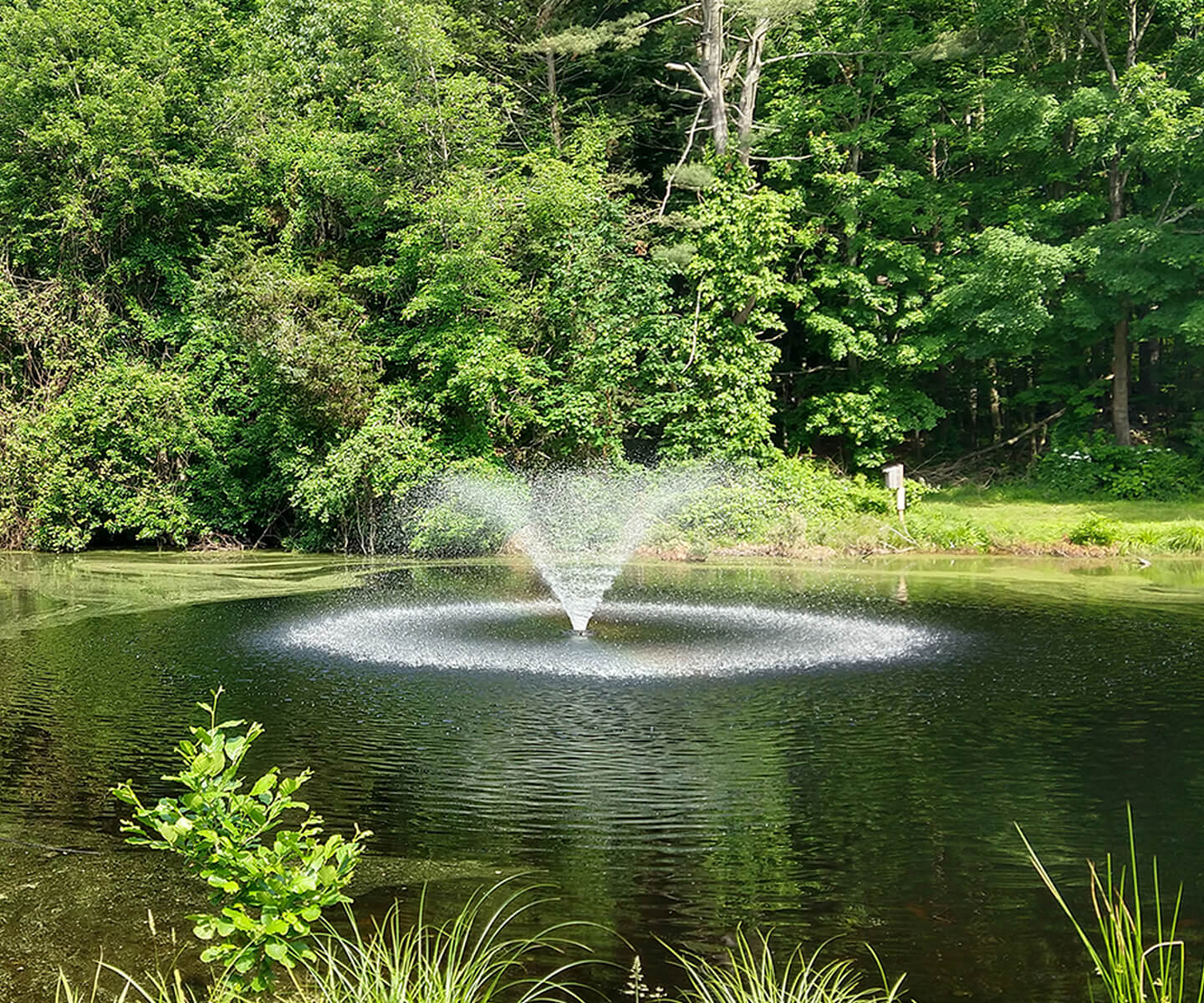 Kasco VFX Series Aerating Fountain - Image 2