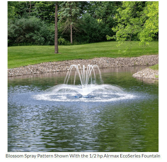 POND MANAGEMENT services