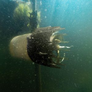 AquatiClear™ by Kasco Circulator