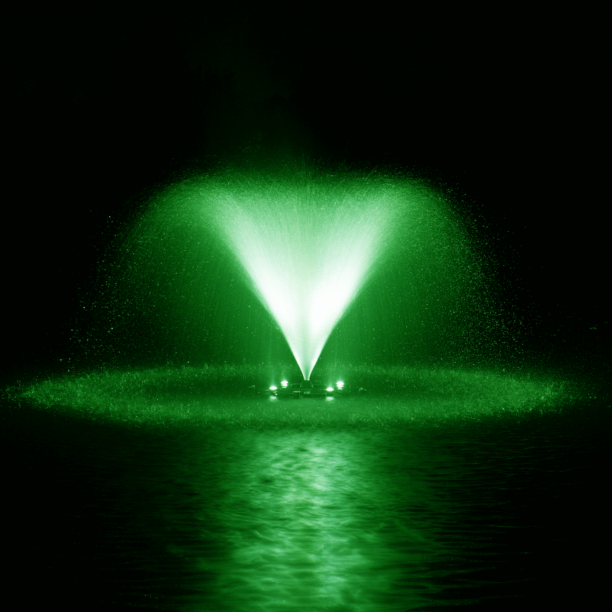 LAKE MANAGEMENT Services