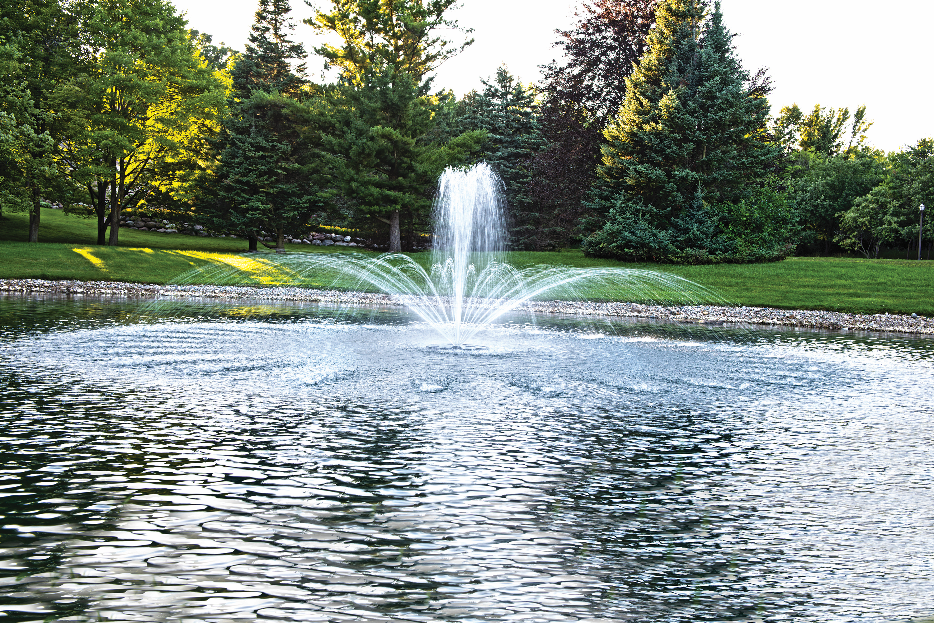 LAKE MANAGEMENT Services