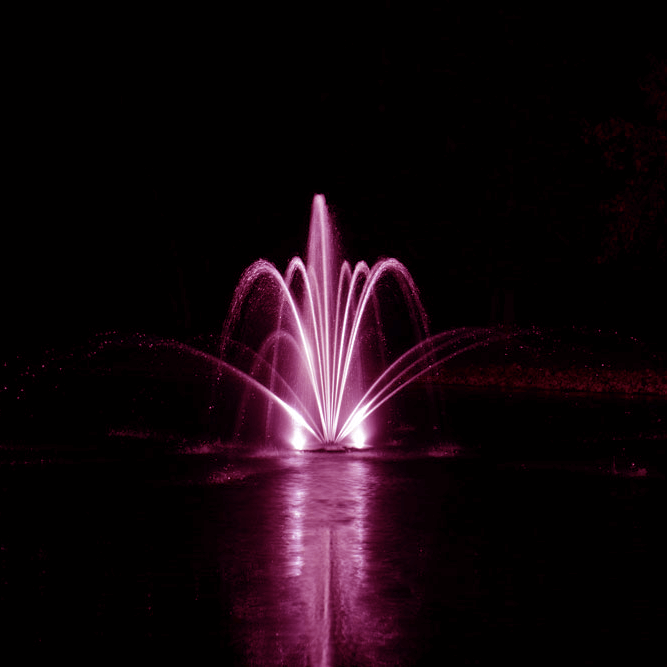 LAKE MANAGEMENT Services