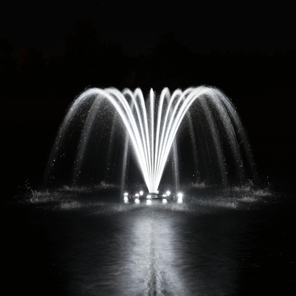 POND MANAGEMENT services