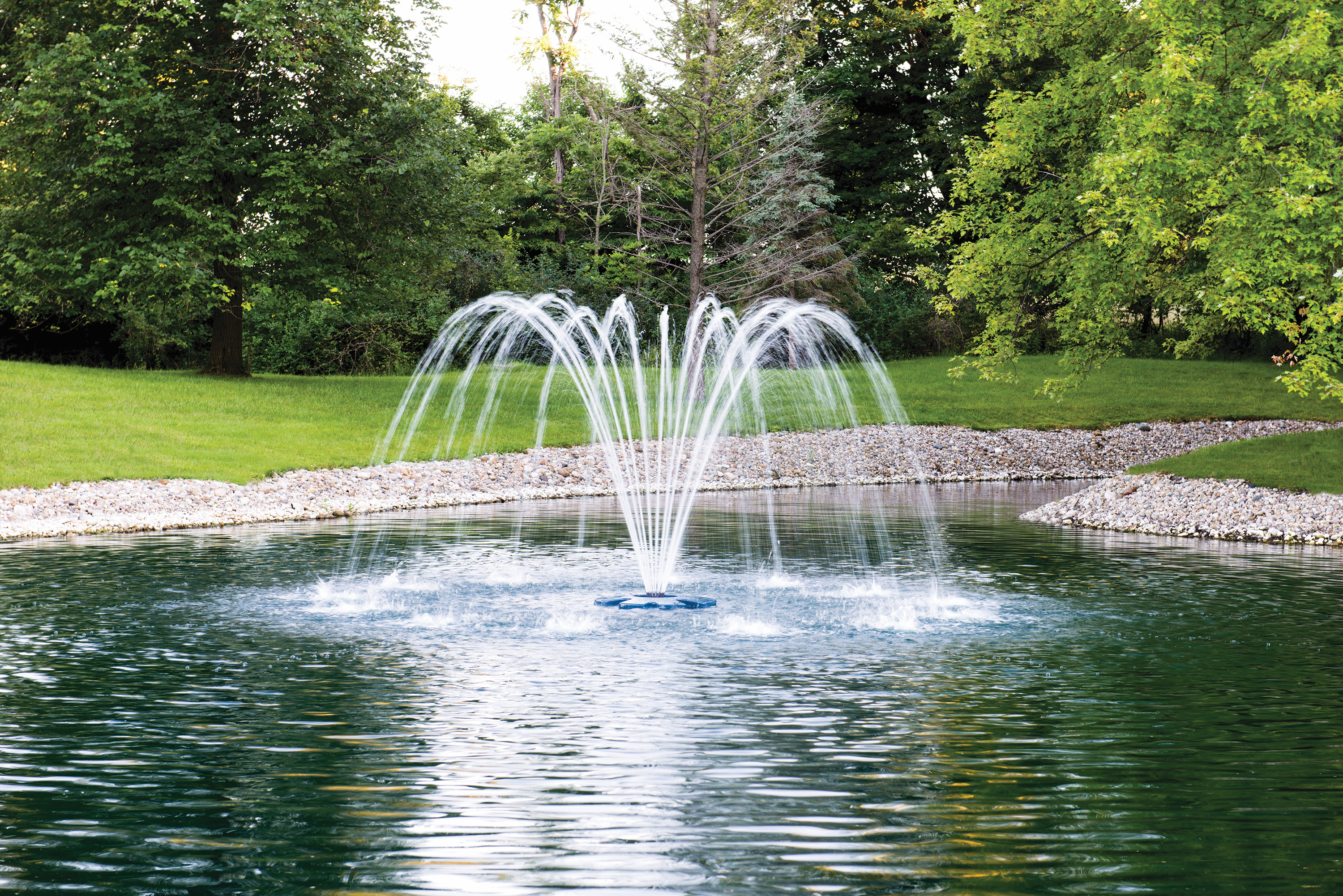 LAKE MANAGEMENT Services