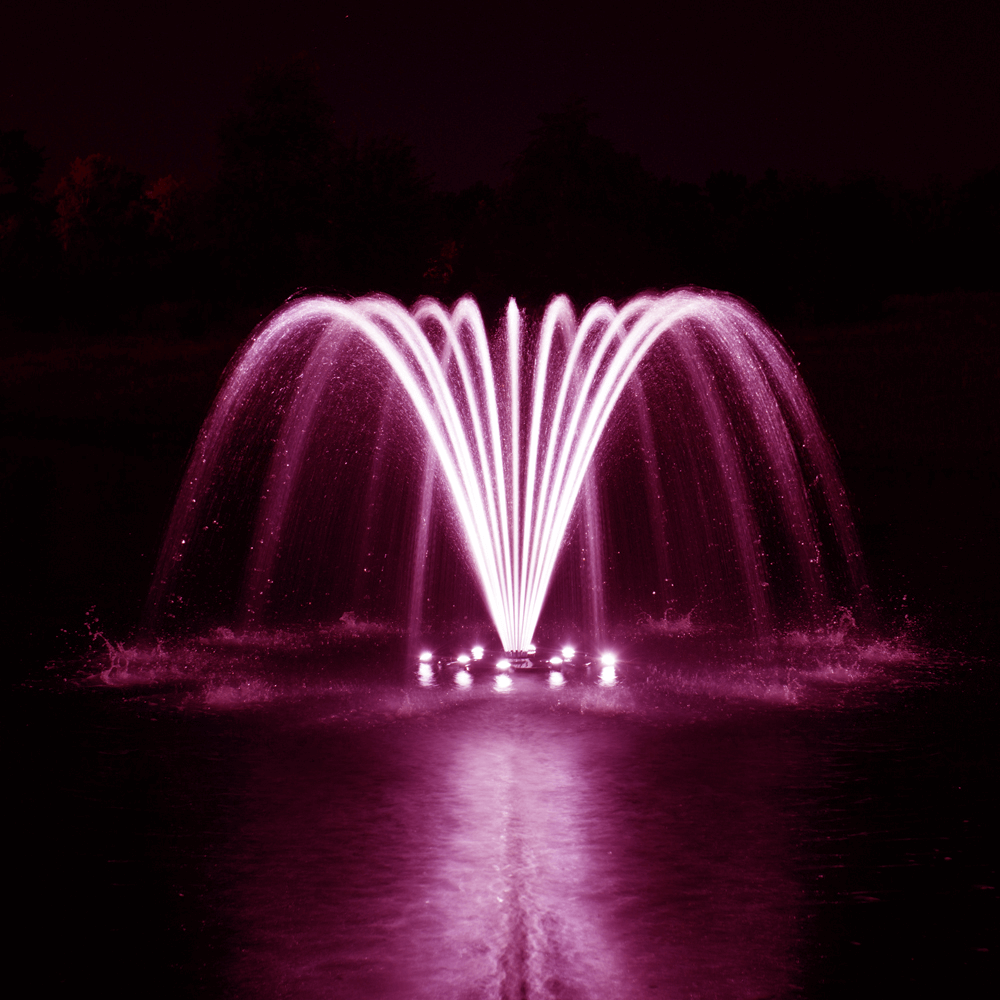 POND MANAGEMENT services