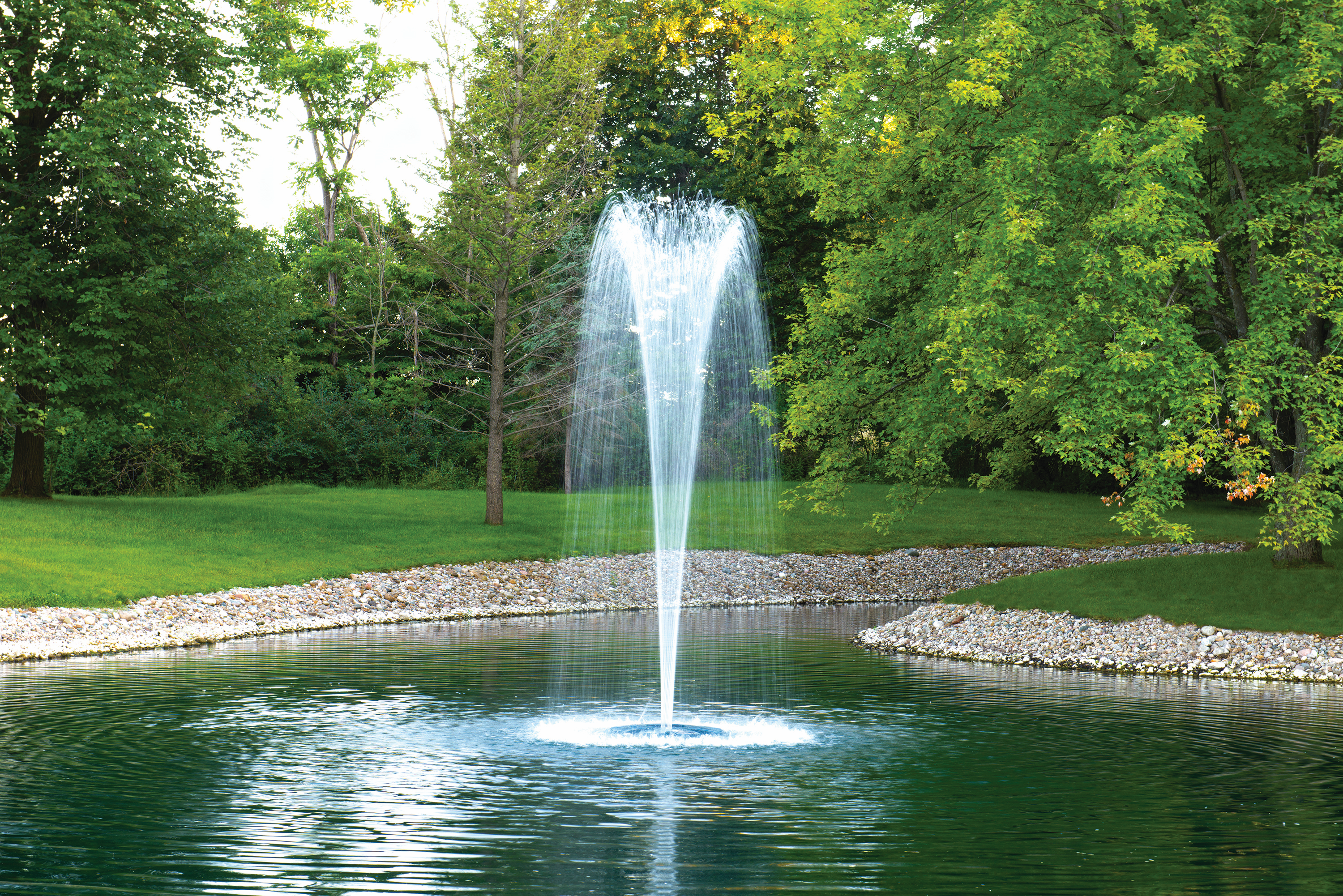 LAKE MANAGEMENT Services