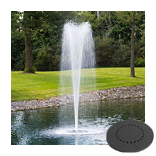 LAKE MANAGEMENT Services