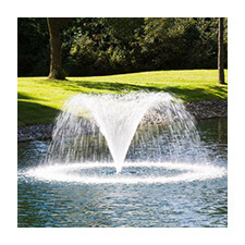 LAKE MANAGEMENT Services